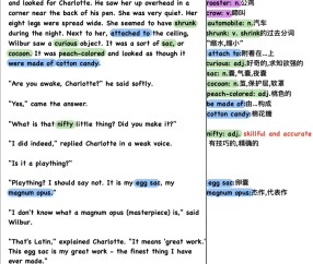 开云-风云突变夏洛特黄蜂今晚战术微调，足总杯版图或变，质疑声仍在，身体对抗强度拉满(世俱杯皇马多特预测分析)